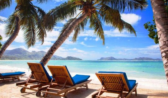 Planning a Honeymoon